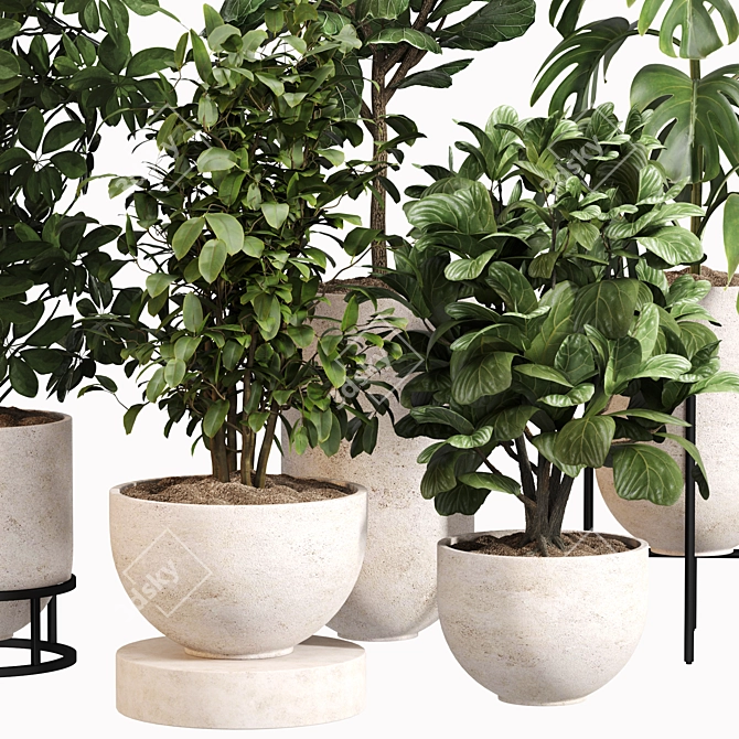 Modern Indoor Plant Set 034 3D model image 2