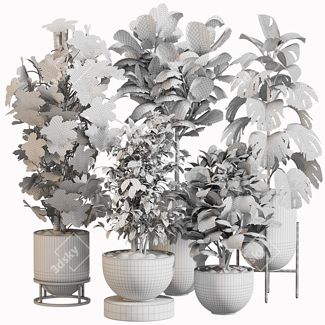 Modern Indoor Plant Set 034 3D model image 5