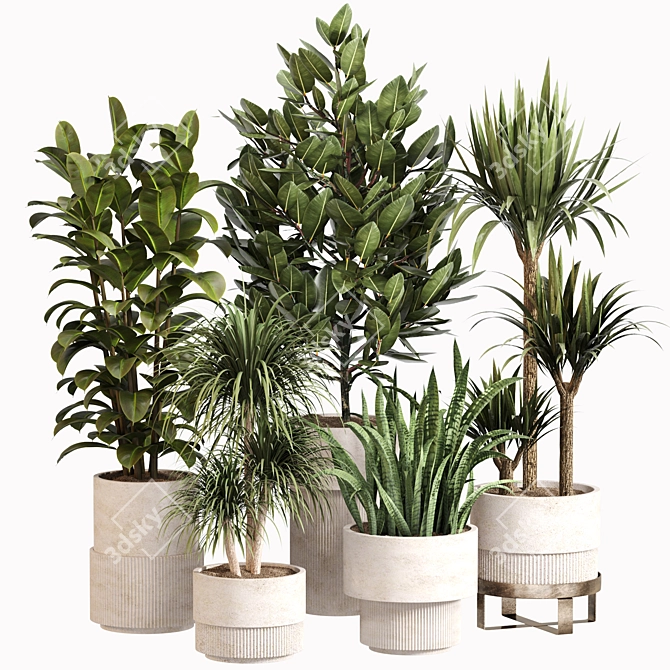 Modern Indoor Plant Set 033 3D model image 1