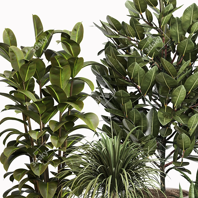 Modern Indoor Plant Set 033 3D model image 3