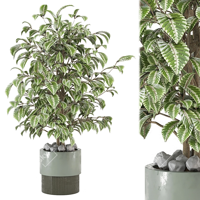  Modern Indoor Plants Set 3D model image 1