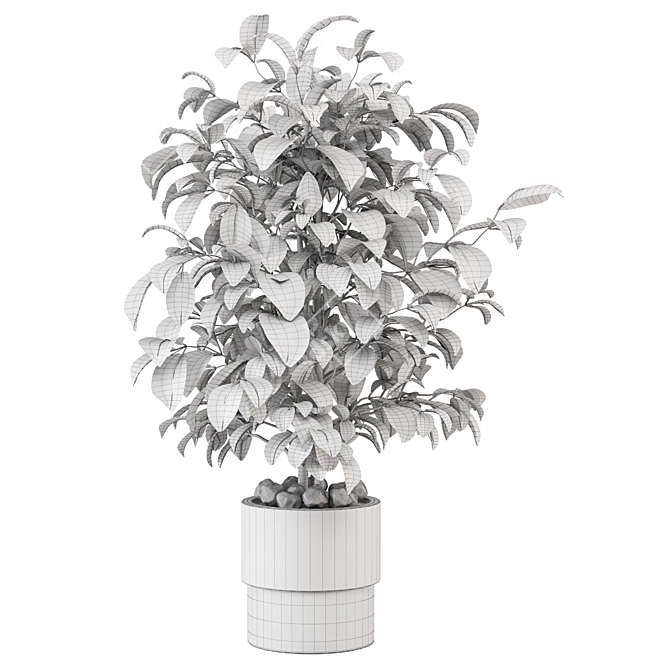  Modern Indoor Plants Set 3D model image 5