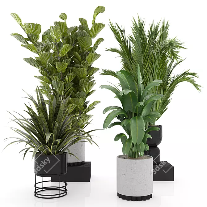  Modern Indoor Plant Set 4 3D model image 1