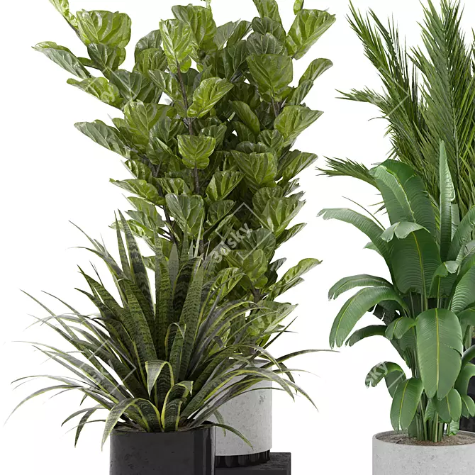  Modern Indoor Plant Set 4 3D model image 2