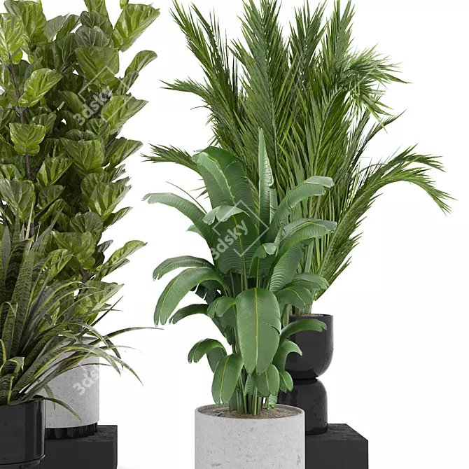  Modern Indoor Plant Set 4 3D model image 3