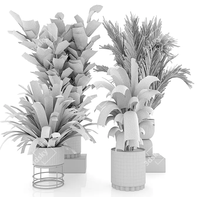  Modern Indoor Plant Set 4 3D model image 4