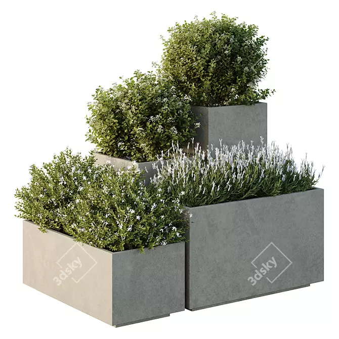 Garden Box Tree Bush Models 3D model image 1