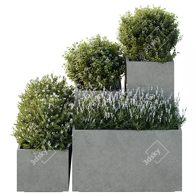 Garden Box Tree Bush Models 3D model image 2