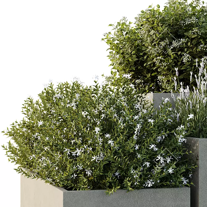 Garden Box Tree Bush Models 3D model image 5