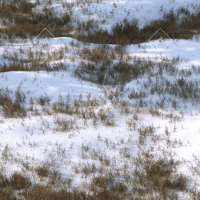 Snow-Covered Grass Ground Asset 3D model image 3