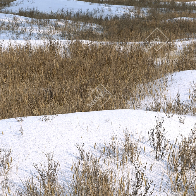 Snow-Covered Grass Ground Asset 3D model image 4