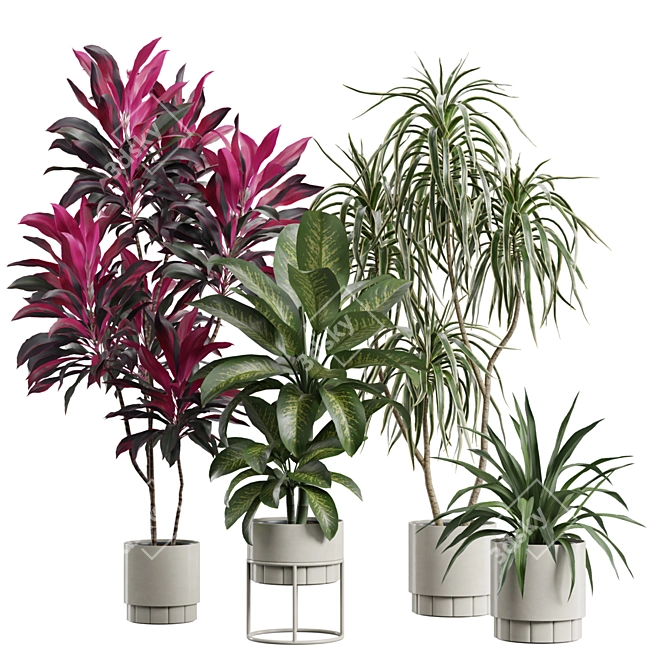 Indoor Plants Pack 62: 3D Models 3D model image 1