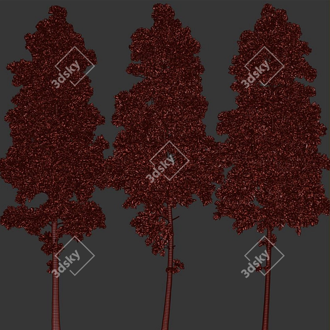 Pine Tree Set 3D Model 3D model image 3