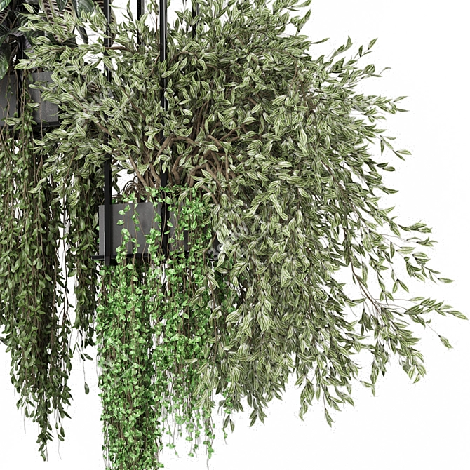 Metal Box Hanging Plants Set 3D model image 4