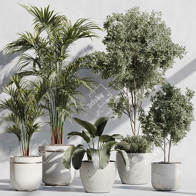 Botanical Paradise Indoor Plant Set 3D model image 1