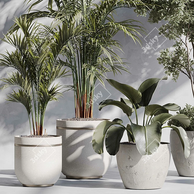 Botanical Paradise Indoor Plant Set 3D model image 2