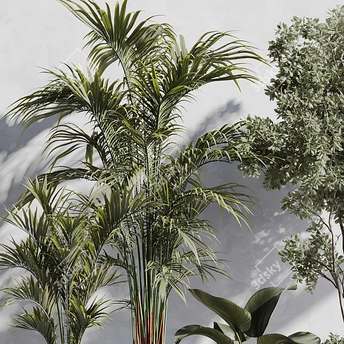 Botanical Paradise Indoor Plant Set 3D model image 4