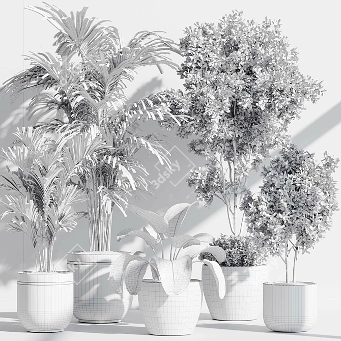 Botanical Paradise Indoor Plant Set 3D model image 7