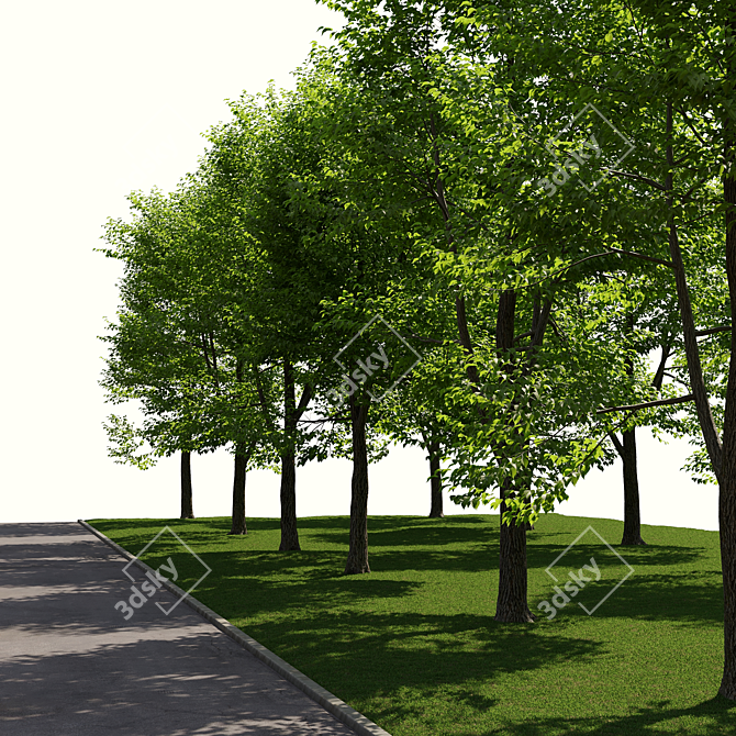 Urban Landscape Toolkit: Asphalt & Trees 3D model image 3