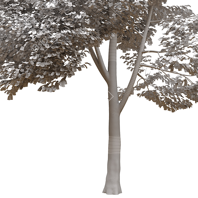 Urban Landscape Toolkit: Asphalt & Trees 3D model image 7