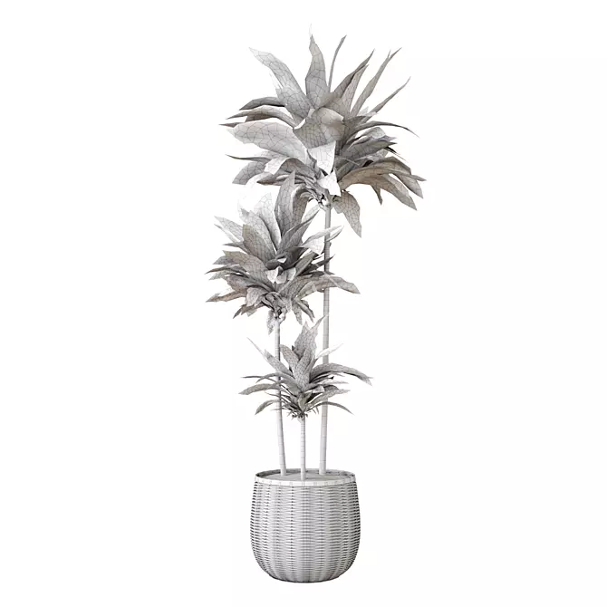 Elegant Indoor Aspidistra Plant 3D model image 4