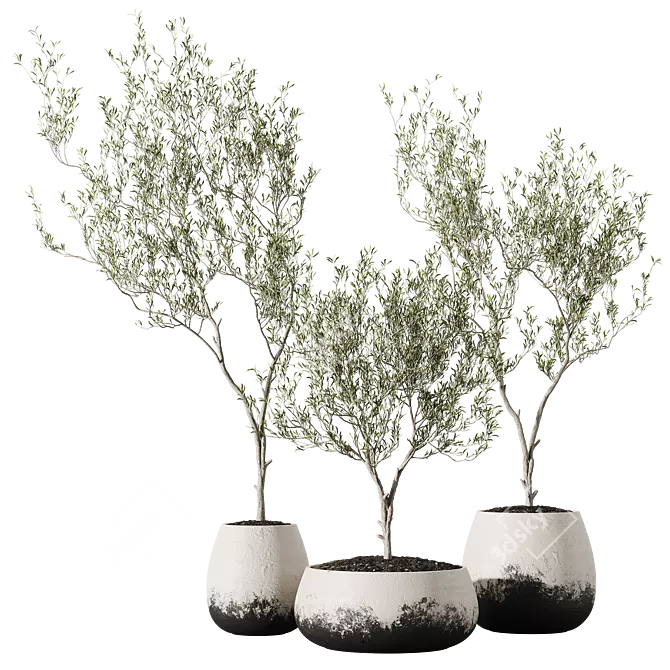 Metal Planter Set with Live Plants 3D model image 1