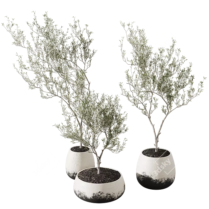 Metal Planter Set with Live Plants 3D model image 2