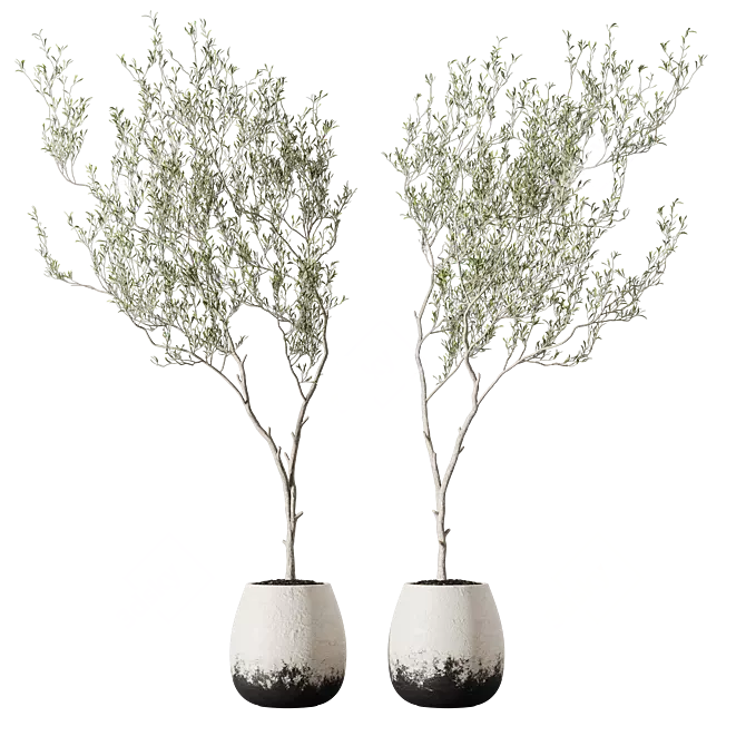 Metal Planter Set with Live Plants 3D model image 3