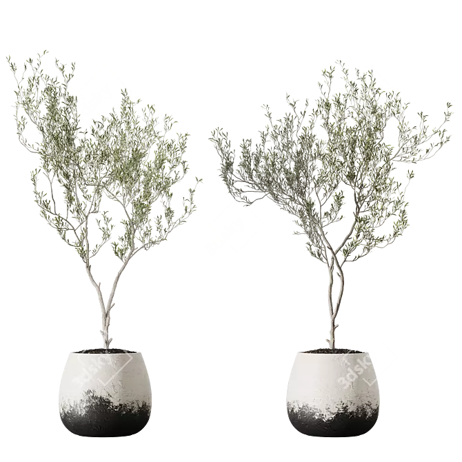 Metal Planter Set with Live Plants 3D model image 5