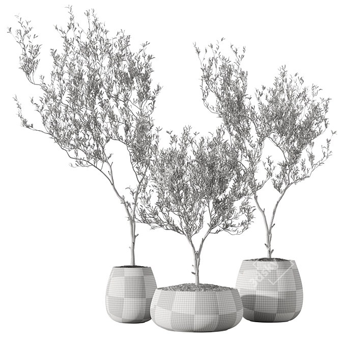 Metal Planter Set with Live Plants 3D model image 6