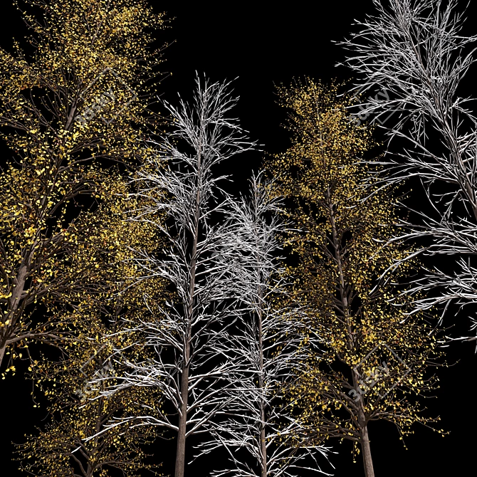 Winter Tree 3D Models Bundle 3D model image 5