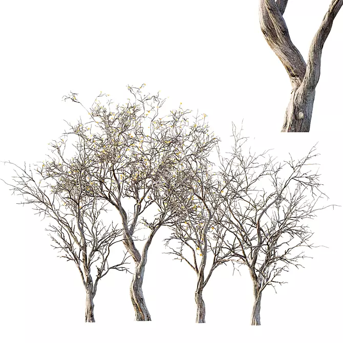 Life-like 3D Dry Trees Pack 3D model image 1