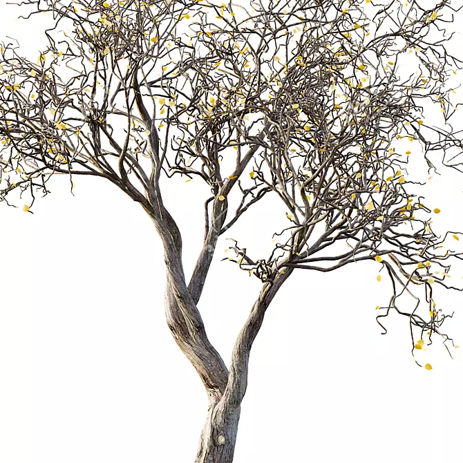 Life-like 3D Dry Trees Pack 3D model image 3