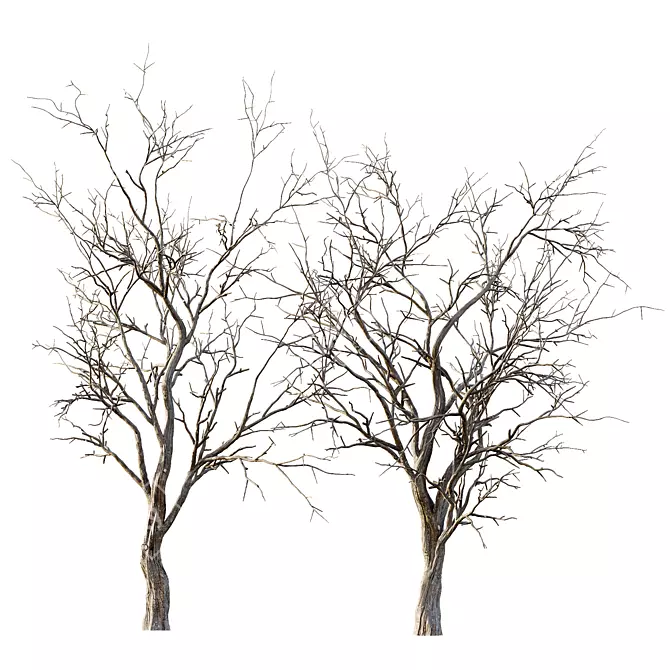 Life-like 3D Dry Trees Pack 3D model image 4