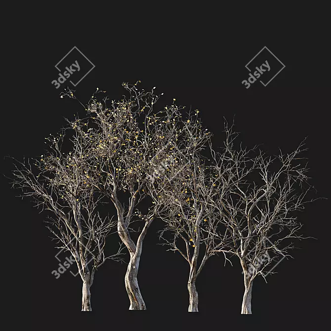 Life-like 3D Dry Trees Pack 3D model image 5