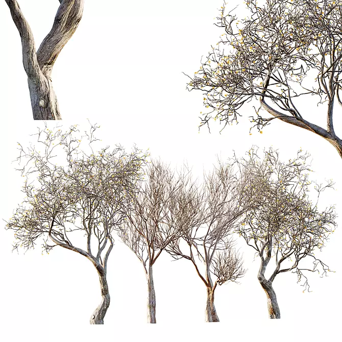 3D Dry Dead Tree Models 3D model image 1