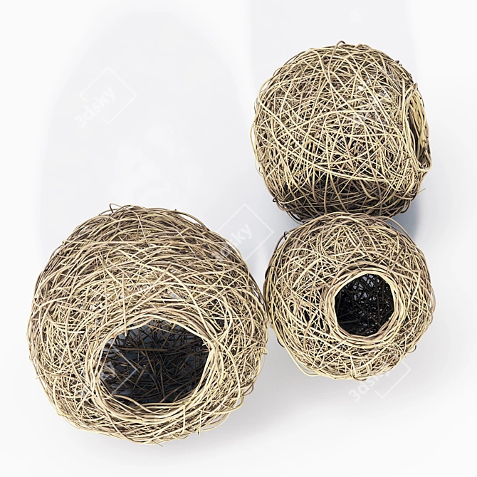 3D Polygon Model Bundle: Nest n5 3D model image 3