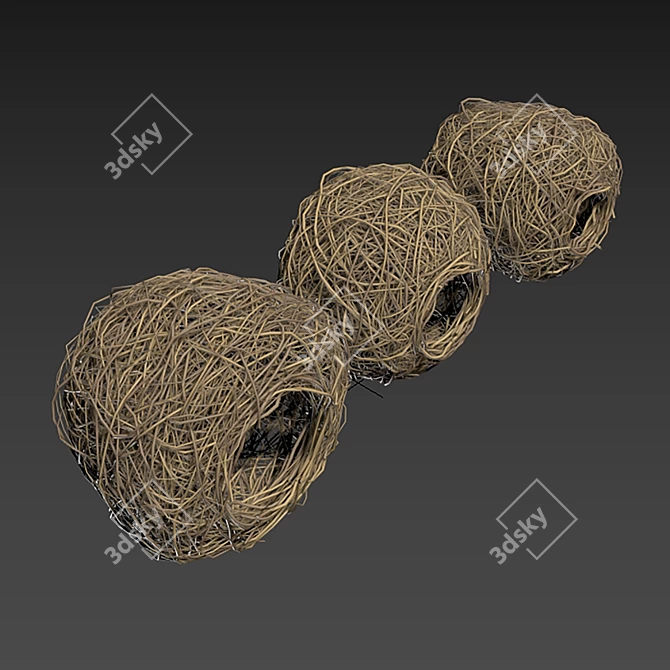 3D Polygon Model Bundle: Nest n5 3D model image 5