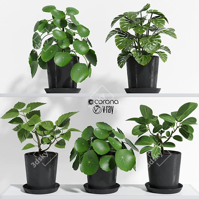 Translation: "material for high resolution renders." 
Unique Title: High-Res Plant Set Render 3D model image 1