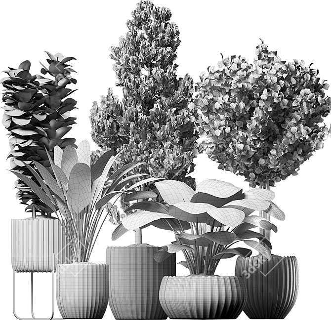 3D Indoor Plants Obj Max 3D model image 3