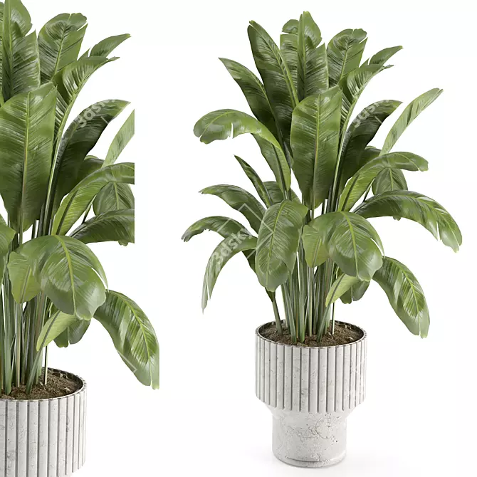  Modern Indoor Plant Set 7 3D model image 1