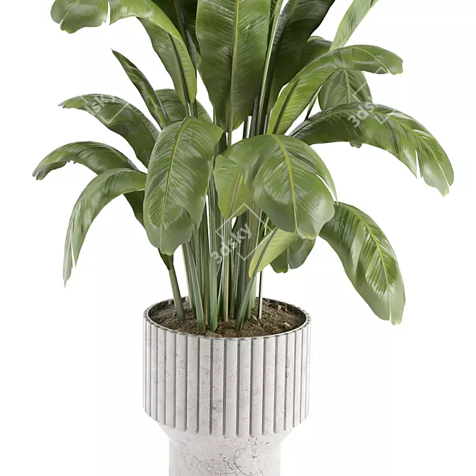  Modern Indoor Plant Set 7 3D model image 2