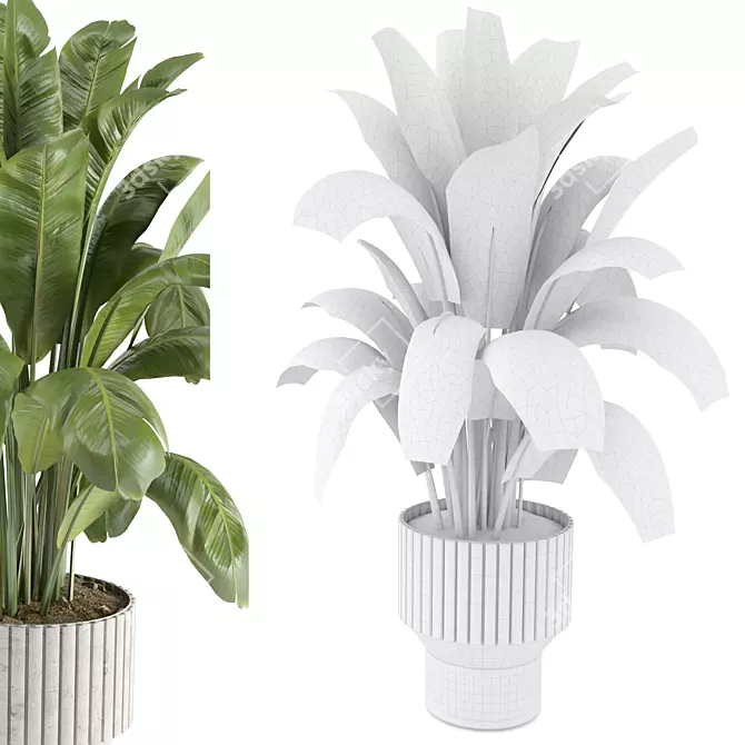  Modern Indoor Plant Set 7 3D model image 4