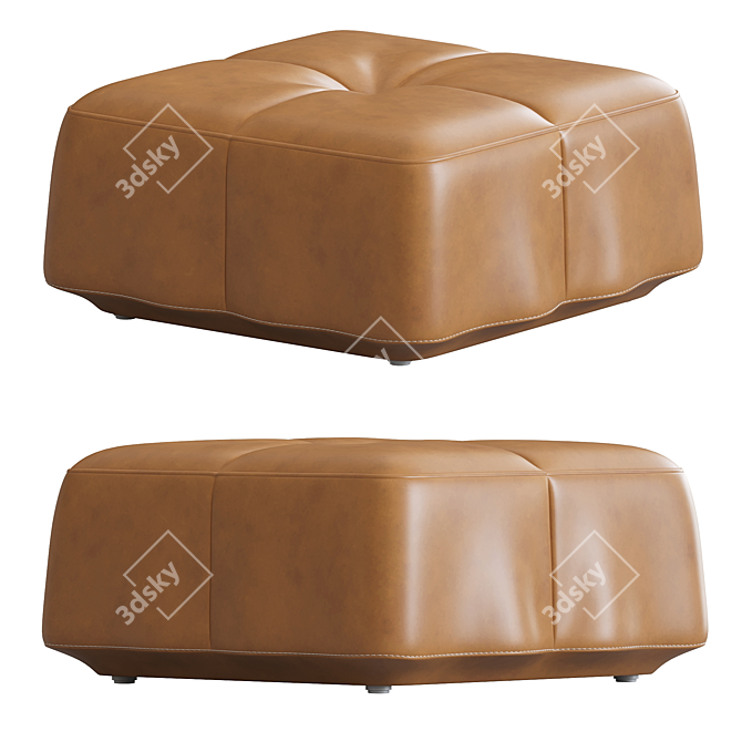 Modern Design Ottoman de Sede 3D model image 1