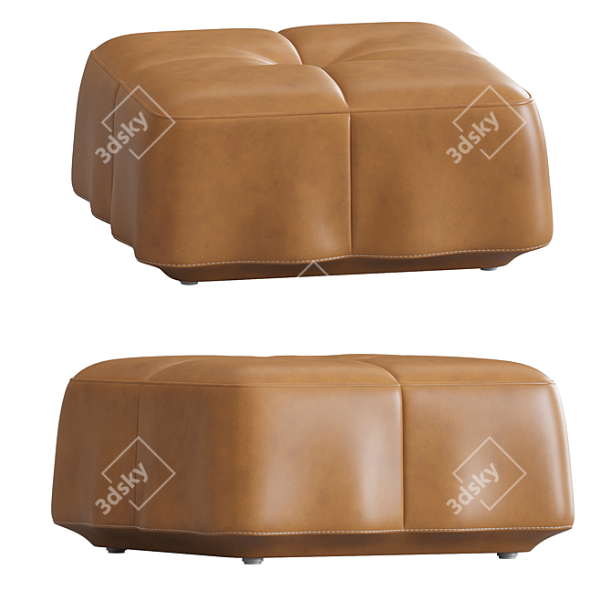 Modern Design Ottoman de Sede 3D model image 2