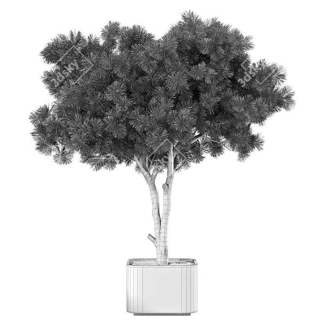 Modern Indoor Plant Collection 3D model image 4