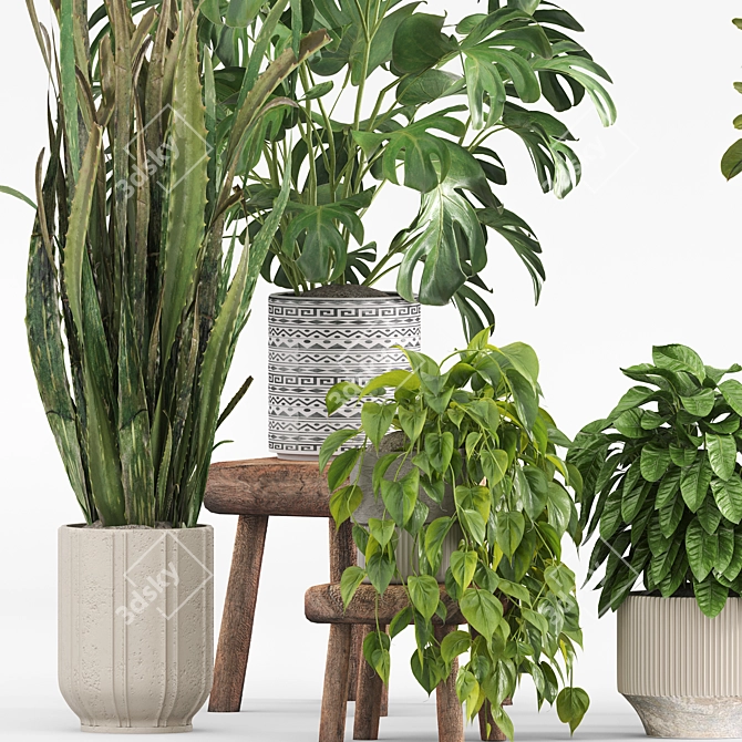 Natural Indoor Plants on Table 3D model image 6