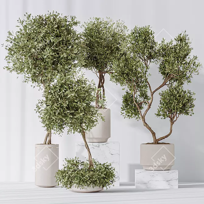 Majestic Olive Faux Tree Mediterranean 3D model image 2