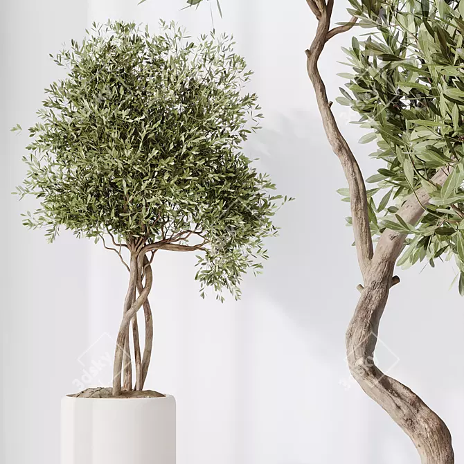 Majestic Olive Faux Tree Mediterranean 3D model image 3