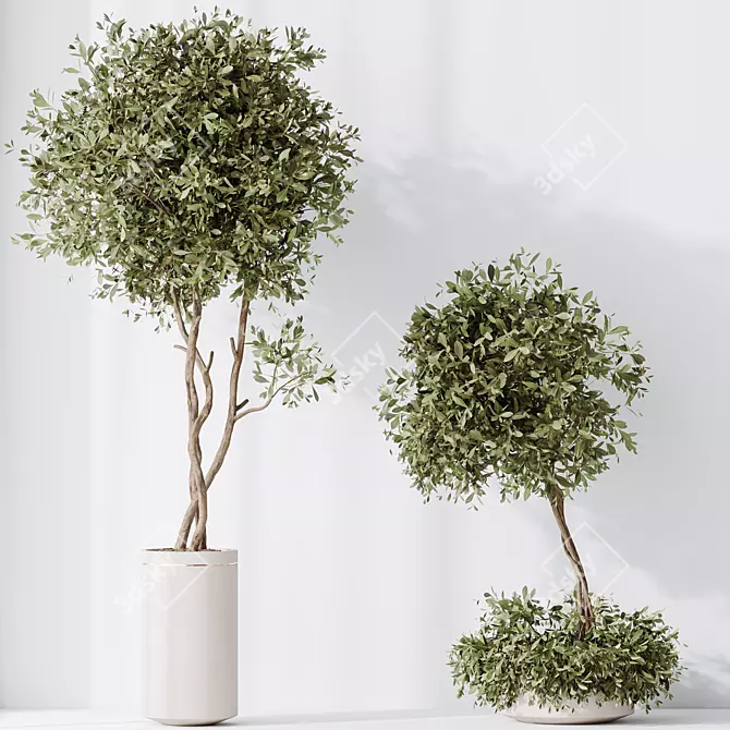 Majestic Olive Faux Tree Mediterranean 3D model image 4